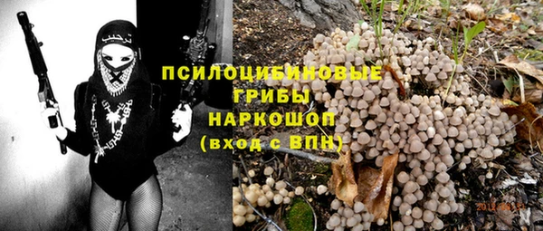 прущий лед Алзамай